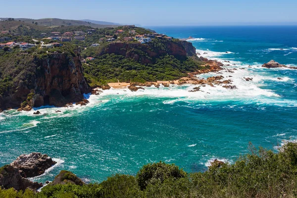 Knysna Kuştüyü Kuştüyü Tabiatı Knysna Başkanları Güney Afrika — Stok fotoğraf