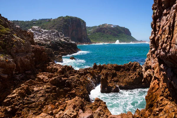 Featherbed Nature Reserve Knysna Afrique Sud — Photo