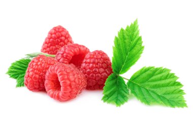 Beyaz yeşil yaprak taze organik ahududu 