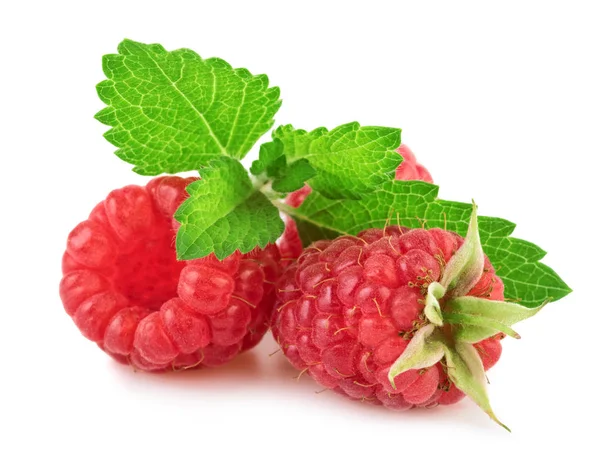 Framboise Fraîche Avec Feuille Menthe Isolée Sur Fond Blanc Gros — Photo