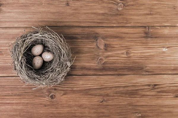 Boet Eller Bird Nest Över Gamla Plankor Ovanifrån Kopia Utrymme — Stockfoto