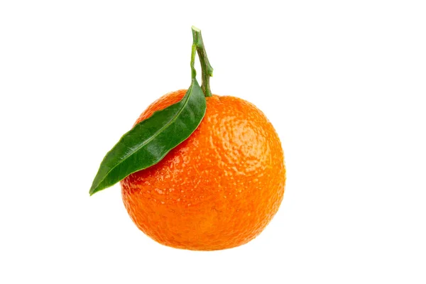 Jeden Mandarínský Pomerančový Plod Izolovaný Bílém — Stock fotografie