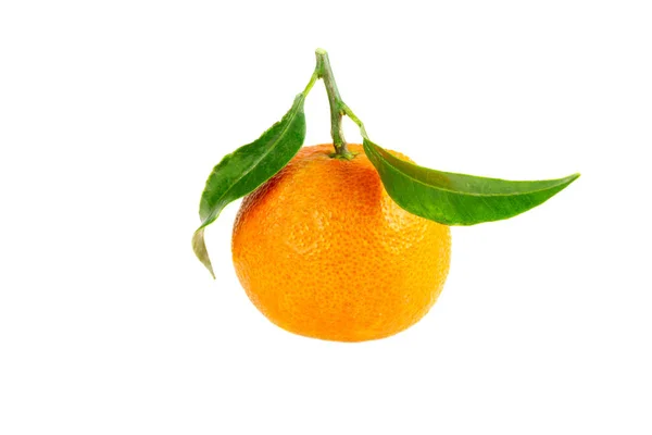 Bir Taze Mandalina Portakal Meyvesi Beyaza Izole Edilmiş — Stok fotoğraf