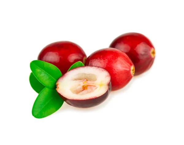 Cranberries Baga Ácido Vermelho Com Folhas Verdes Fundo Branco Imagem De Stock