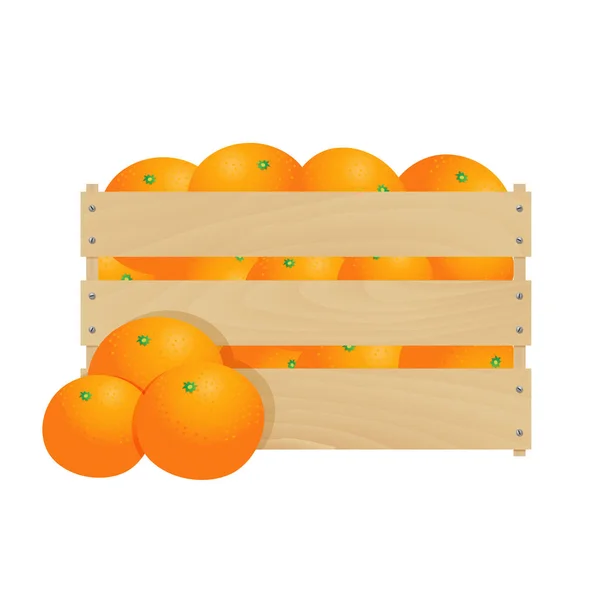 Mandarines fraîches dans une caisse en bois — Image vectorielle