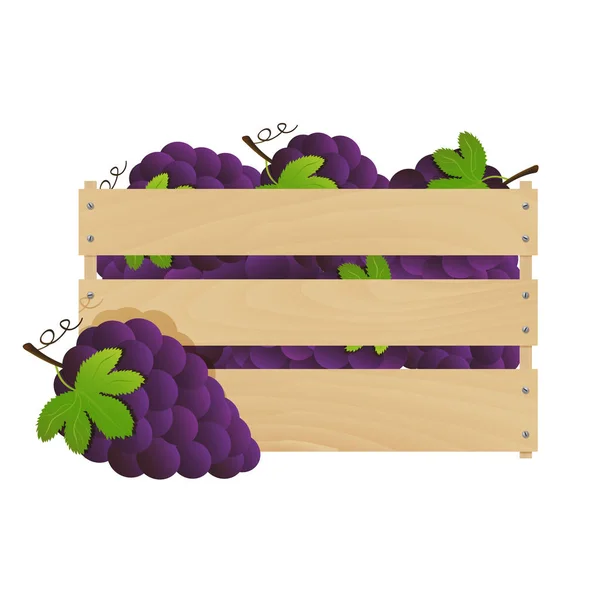 Ramo de uvas en una caja de cajas de madera — Archivo Imágenes Vectoriales
