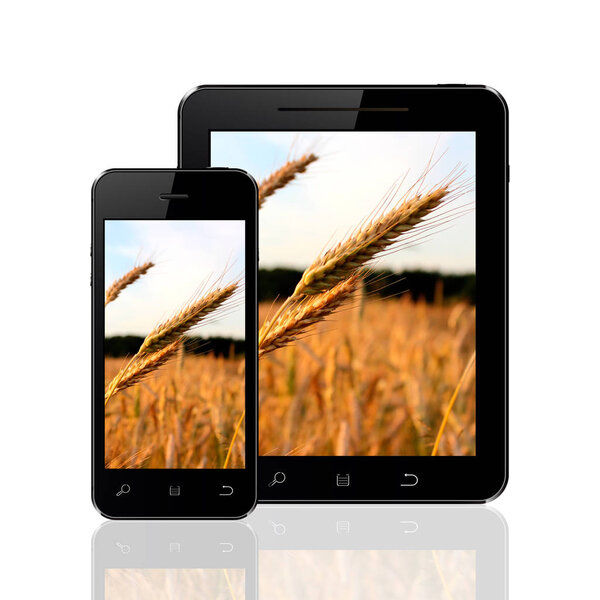 Smart phone and tablet with wheat field wallpapers