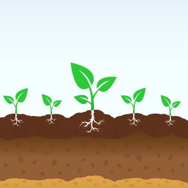 topraktan büyüyen sürgünler