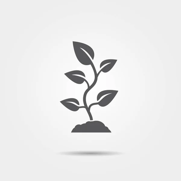 Sprout-Szara ikona — Wektor stockowy