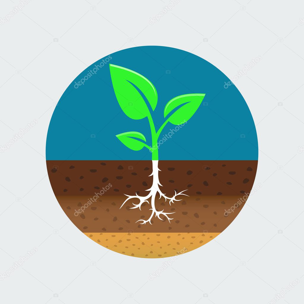Growing sprout icon, vector eps10