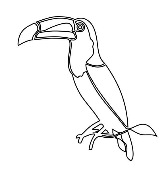 Toucan. Desenho vetorial de livros para colorir —  Vetores de Stock