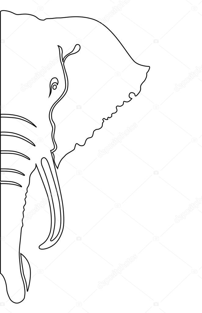 Elephant. Coloring book vector illustration