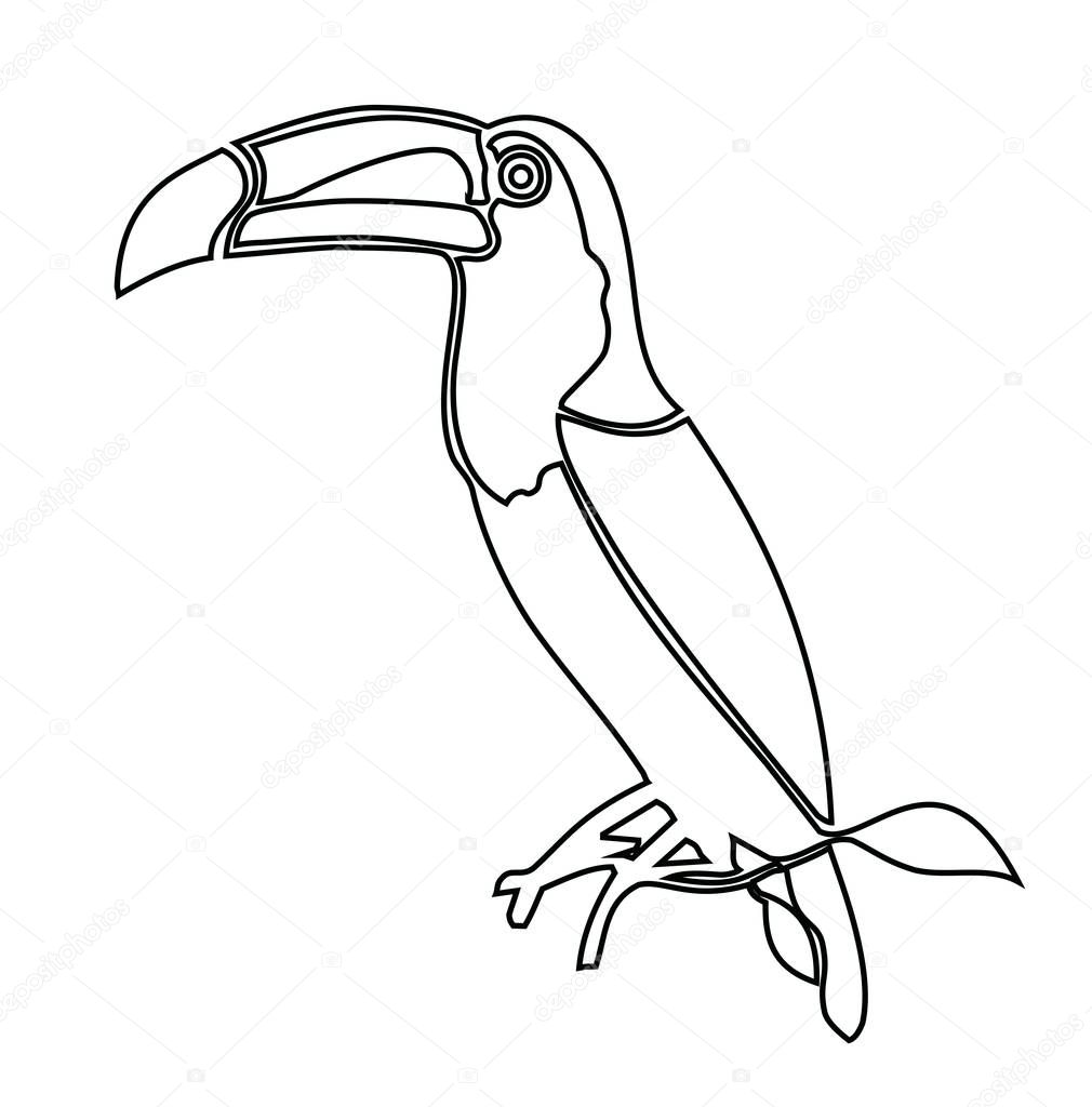 Toucan. Coloring book vector illustration