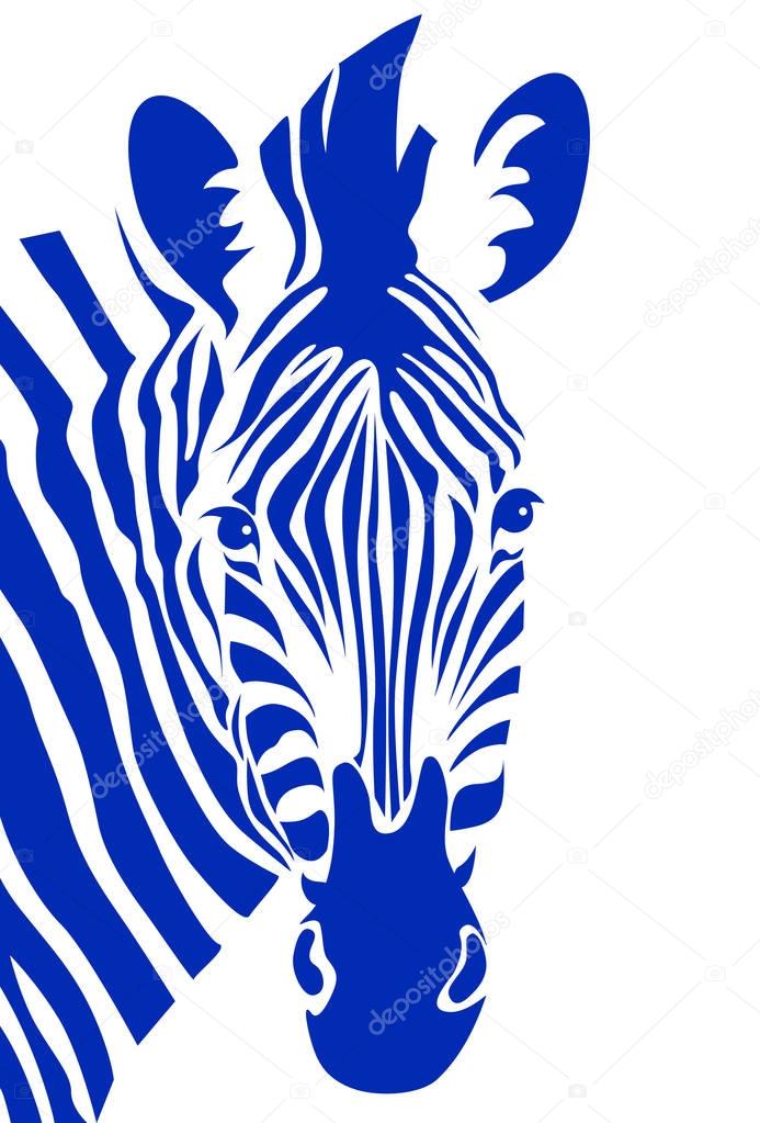 Zebra head. Vector illustration