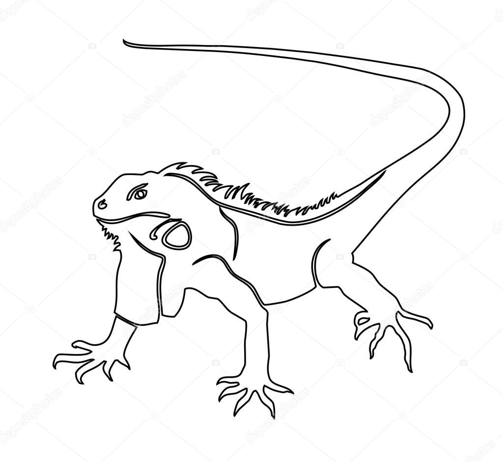 Iguana. Coloring book vector illustration