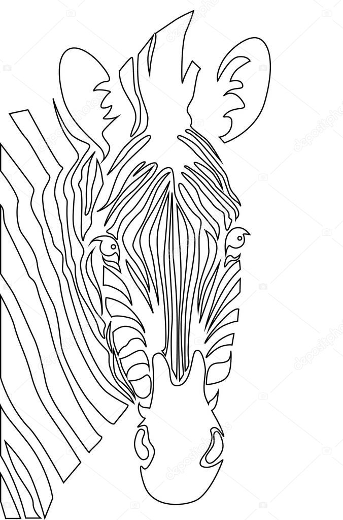 Zebra head. Coloring book vector illustration