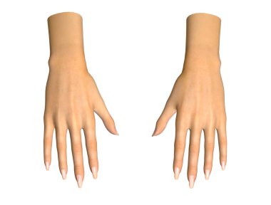 insan elinin üzerine beyaz izole 3D görüntü