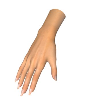insan elinin üzerine beyaz izole 3D görüntü