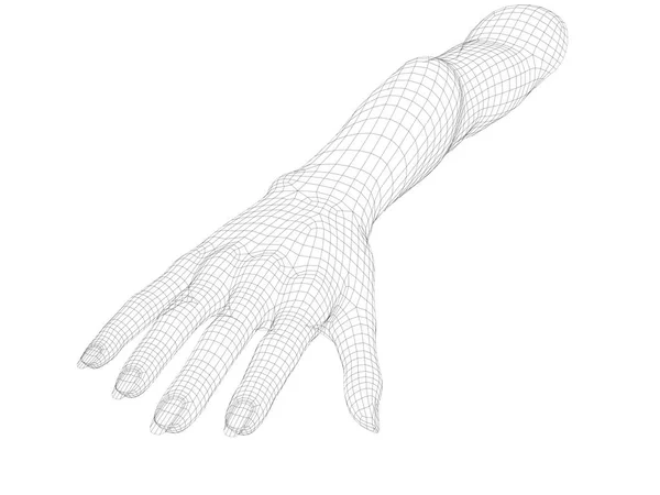 Mão humana wireframe no fundo branco. Imagem 3D . — Fotografia de Stock