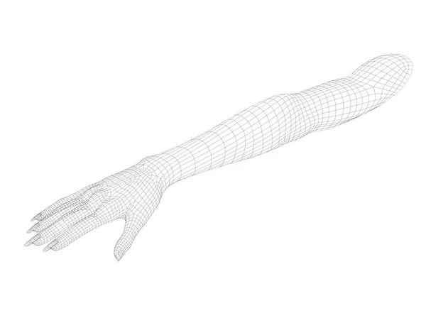 Mano de alambre humano sobre fondo blanco. Imagen 3D . — Foto de Stock