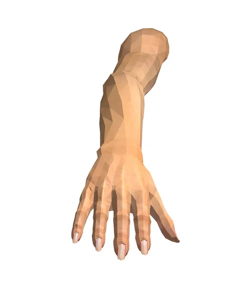 Imagen 3D de manos humanas facetadas aisladas en blanco — Foto de Stock