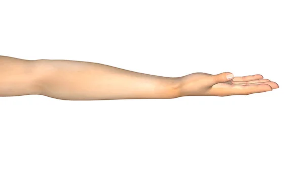 Mão humana isolada sobre fundo branco. — Fotografia de Stock