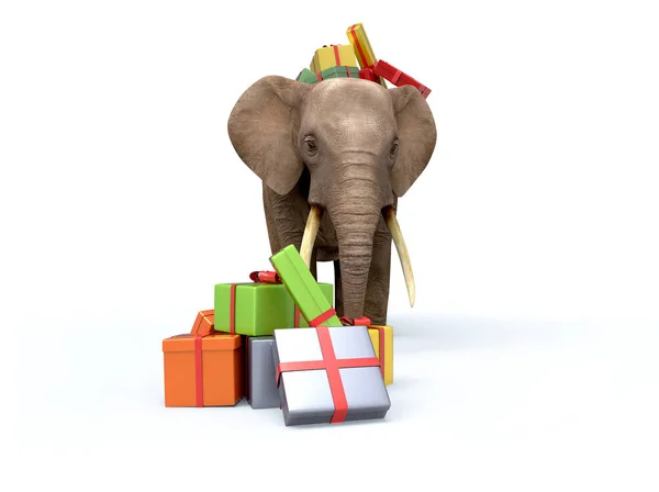 Elefant med presentaskar. 3D illustration — Stockfoto