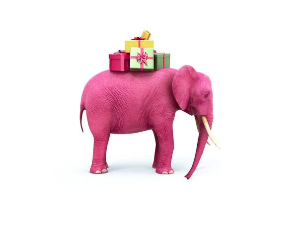 Rosa elefant med presentaskar. 3D illustration — Stockfoto