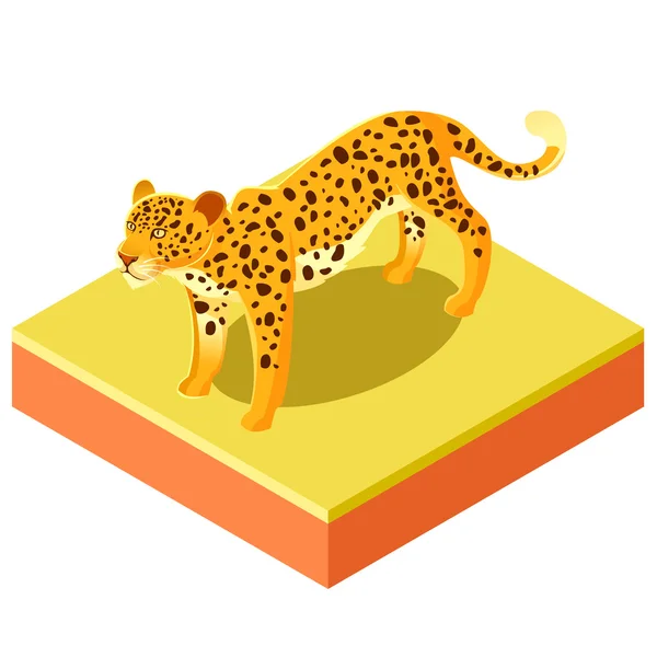 Ізометричний леопард на квадратній землі — стоковий вектор