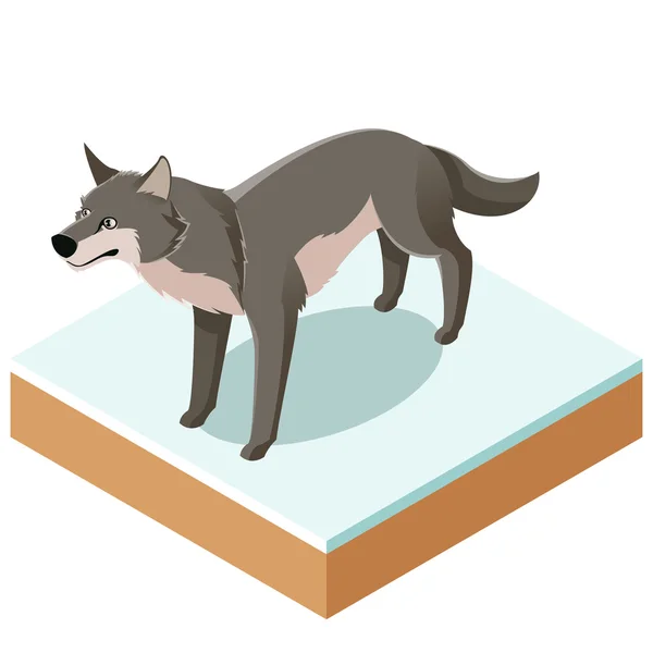 아이소메트릭 늑대 아이콘 광장 지상 — 스톡 벡터