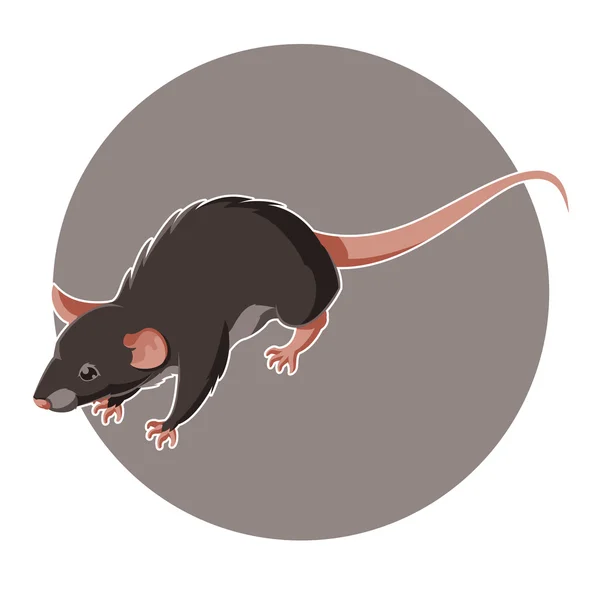 Isometrisk råtta ikonen — Stock vektor