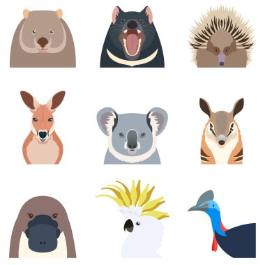 Australian animals flat icons clipart