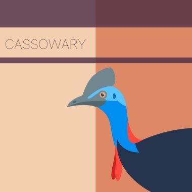 Cassowary düz kartpostal
