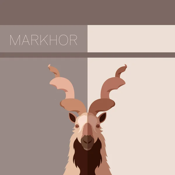 Markhor ploché pohlednice — Stockový vektor