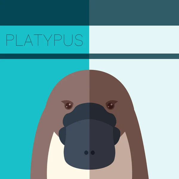 Platypus Flat Postcard — Stock Vector