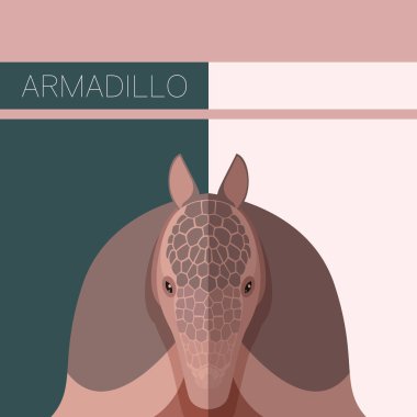 Armadillo ile düz kartpostal