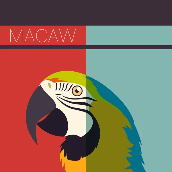 Carte postale plate avec Macaw — Image vectorielle