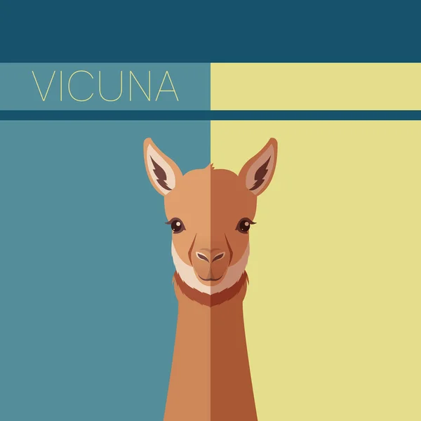 Lapos képeslap, vikunya — Stock Vector