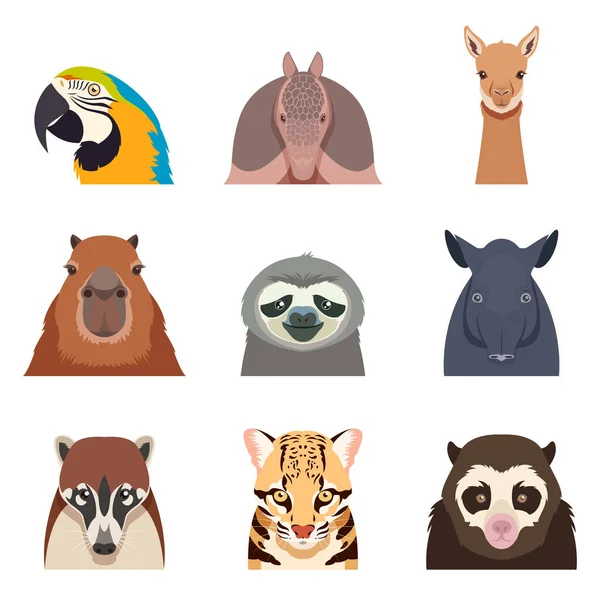 Set of south america animals flat icons — Stock Vector