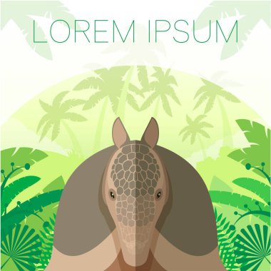 Armadillo orman Backgrownd üzerinde