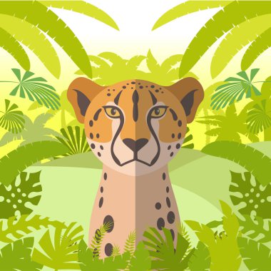 Cheetah orman arka plan üzerinde