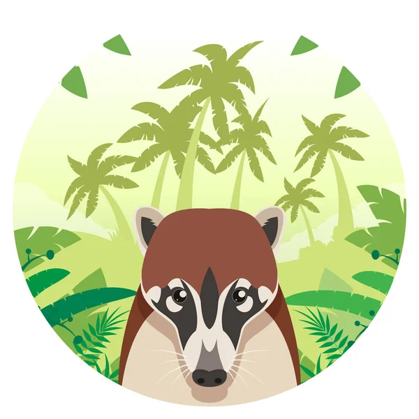 Coati sur le fond de la jungle — Image vectorielle