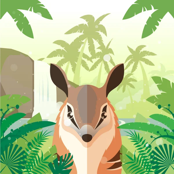 Numbat on the Jungle Background — Stock Vector