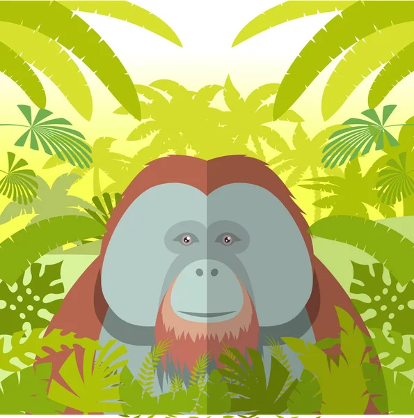 Orangutan sullo sfondo della giungla — Vettoriale Stock