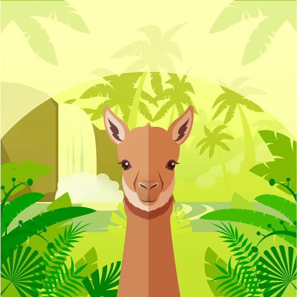 Vicuna on the Jungle Background — Stock Vector