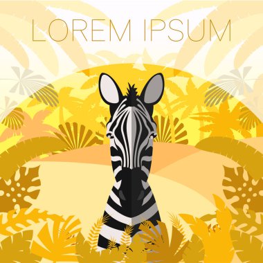 Zebra orman arka plan üzerinde