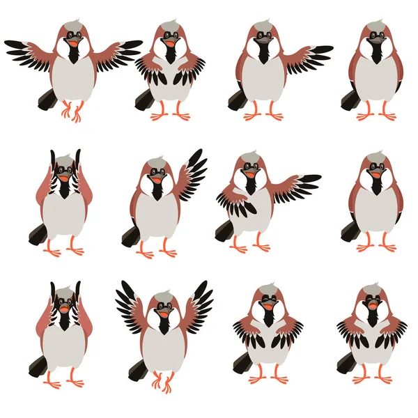Conjunto de ícones planas Sparrow —  Vetores de Stock