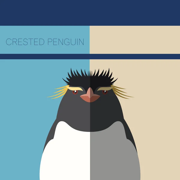 Pingüino Crestado postal plana — Archivo Imágenes Vectoriales