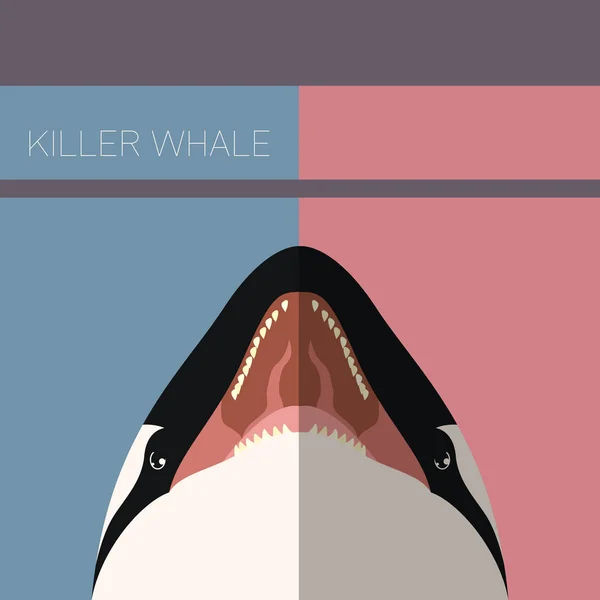 Tarjeta postal plana Killer Whale — Vector de stock