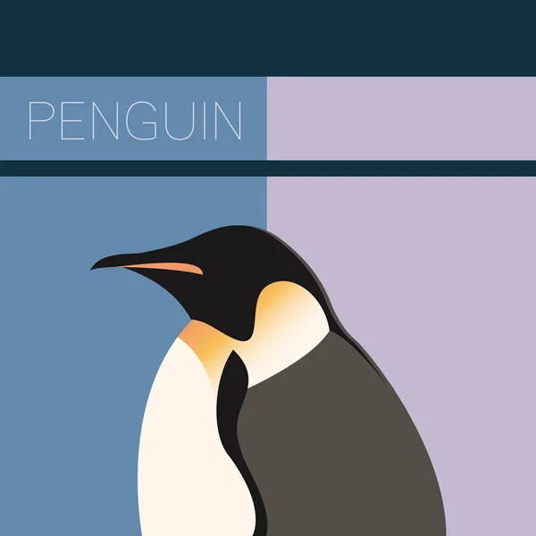 Pingvin platt vykort — Stock vektor